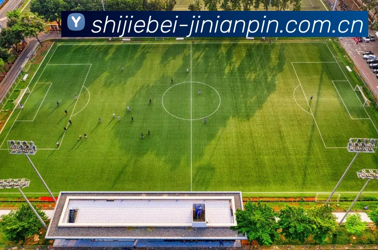 App功能展示图